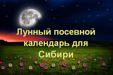 Лунный посевной календарь на 2024 год для Сибири, благоприятные посадочные  дни. | Дачный участок