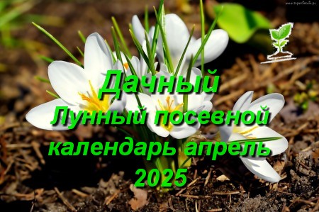 Дачный Лунный календарь для садоводов и огородников на апрель 2025 года