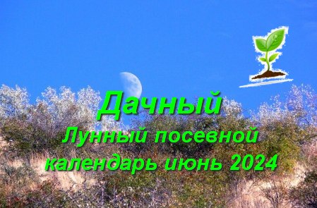 Лунный посевной календарь на 2024 год: благоприятные дни для огородников