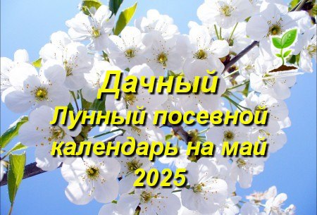 Дачный Лунный календарь для садоводов и огородников на май 2025 года