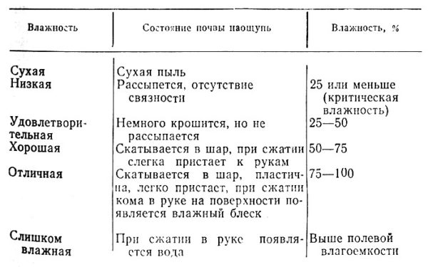 Как правильно поливать картошку из шланга