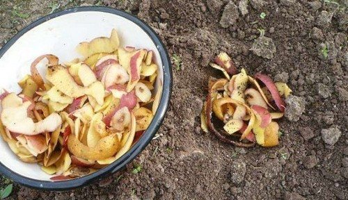 Картофельная ловушка