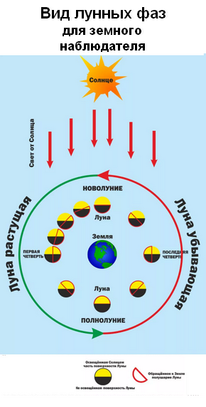 Фазы лета. Фазы Луны в сентябре 2022. Влияние лунных фаз на рост растений проблемы. Новолуние 2022. Циклы и фазы Луны в октябре 2022.
