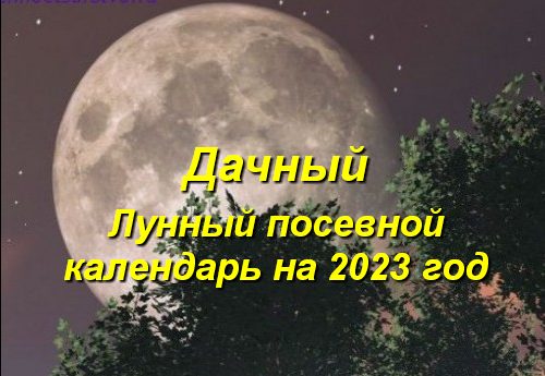 посадочные дни в апреле 2023 года по лунному календарю для огурцов