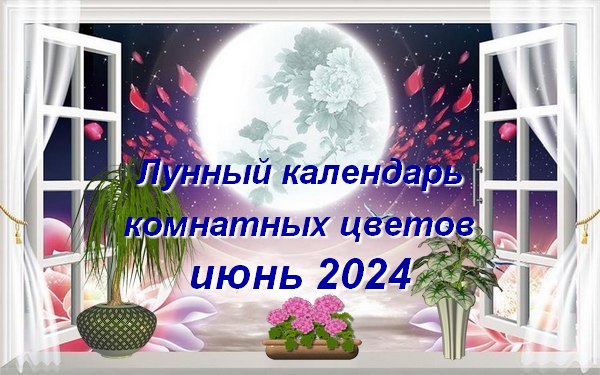 Лунный календарь стрижки волос на Июнь 2024 года