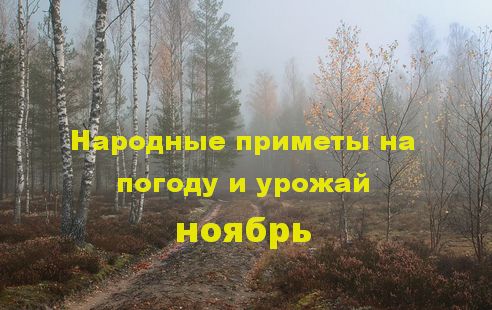 Календарь народных примет и народных праздников в ноябре 2024 года